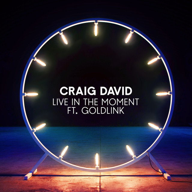 Album cover art for "Live in the Moment" by Craig David & GoldLink