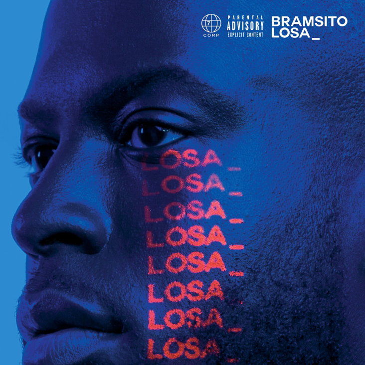 Cover image for Losa