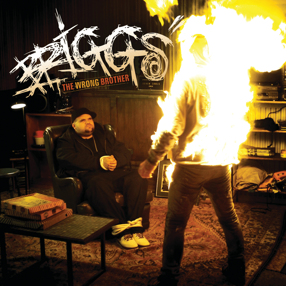 Album cover art for "The Wrong Brother" by Briggs
