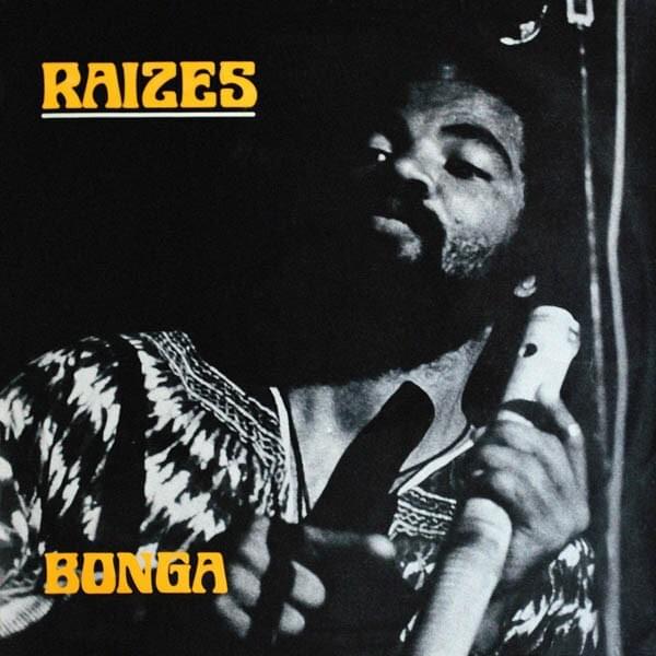 Cover image for Raizes