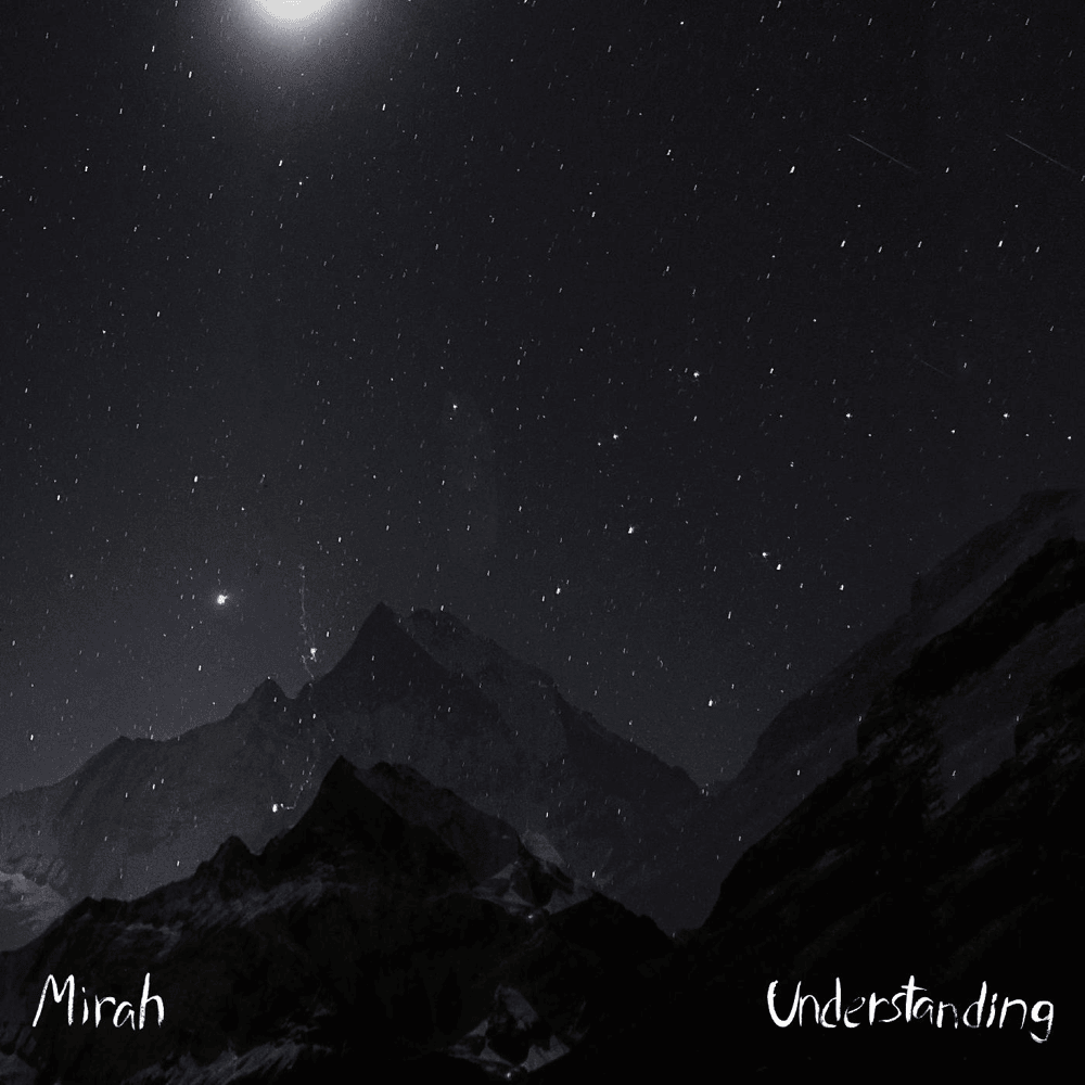 Cover image for Understanding