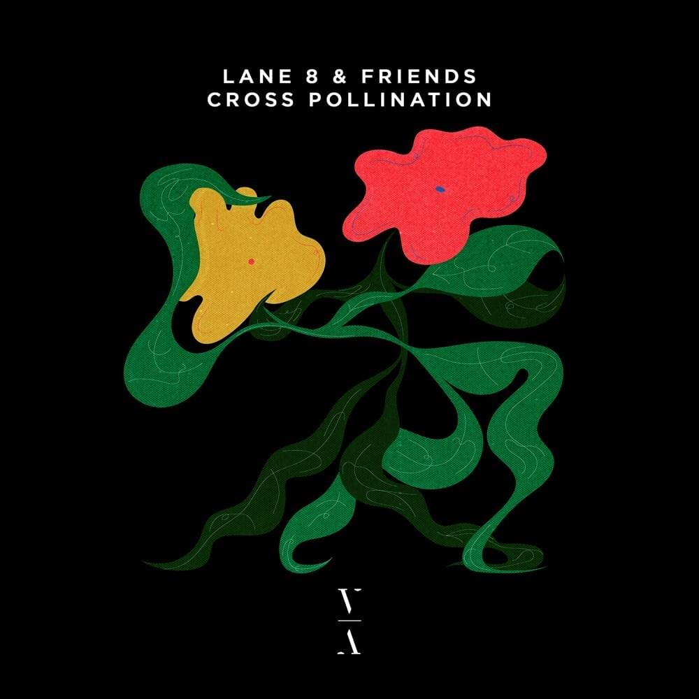 Cover image for Cross Pollination