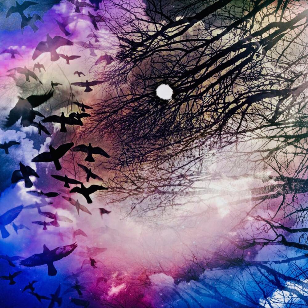 Slivers by Under The Aspen Tree