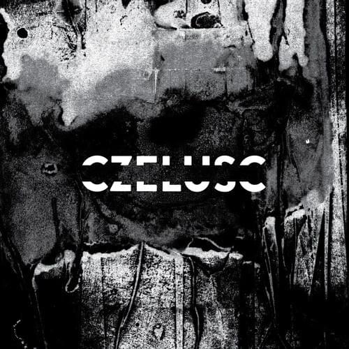 Cover image for Czeluść
