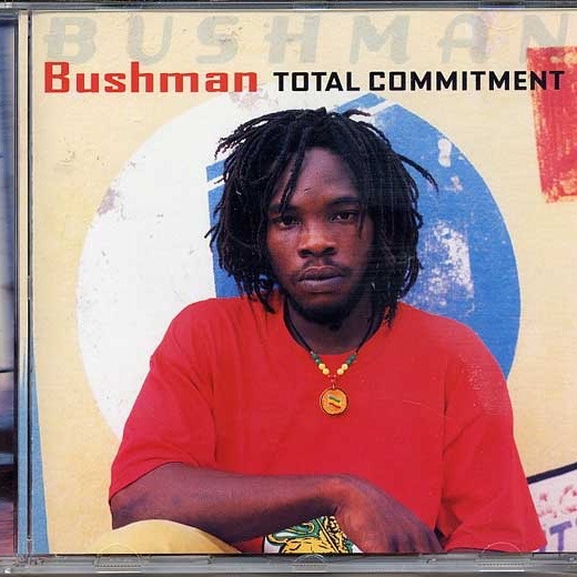Album cover art for "Fire Bun A Weak Heart" by Bushman