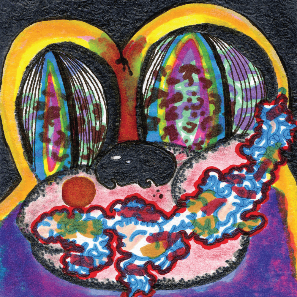 Cover image for Thank You Happy Birthday (Expanded Edition)