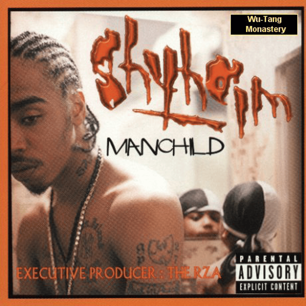 Cover image for Manchild