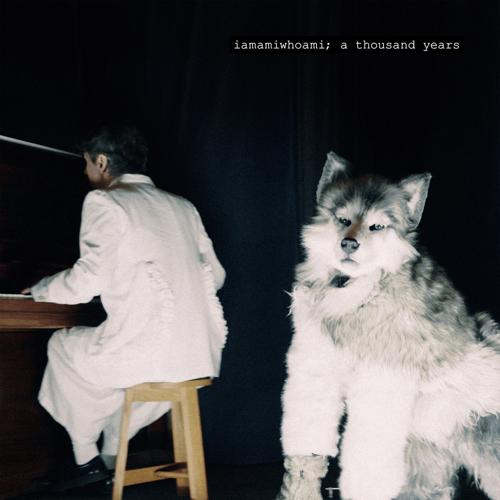 Album cover art for "a thousand years" by iamamiwhoami