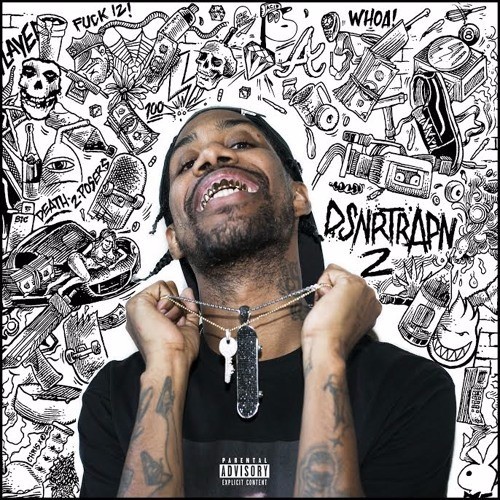 Cover image for DSNRTRAPN2
