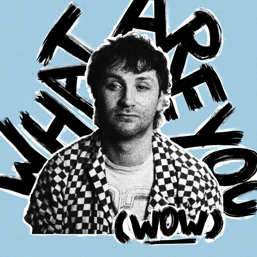 Album cover art for "What Are You (Wow)" by Fox Stevenson