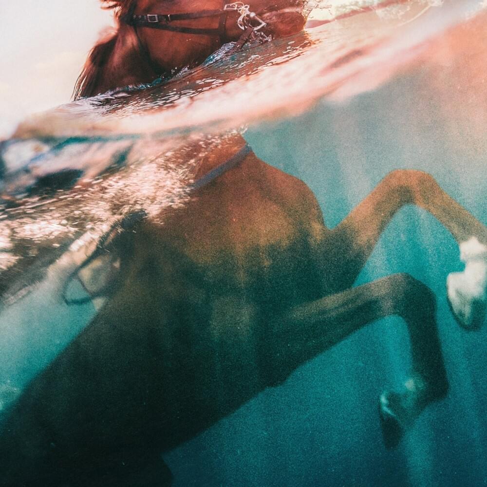 Cover image for U P P E R H A N D