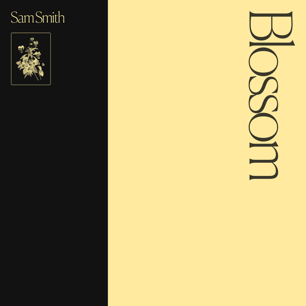 Cover image for Blossom
