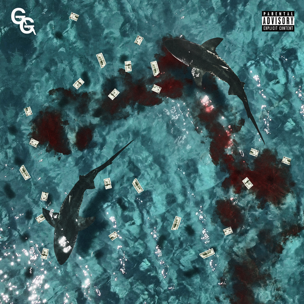 Cover image for Don’t Feed The Sharks