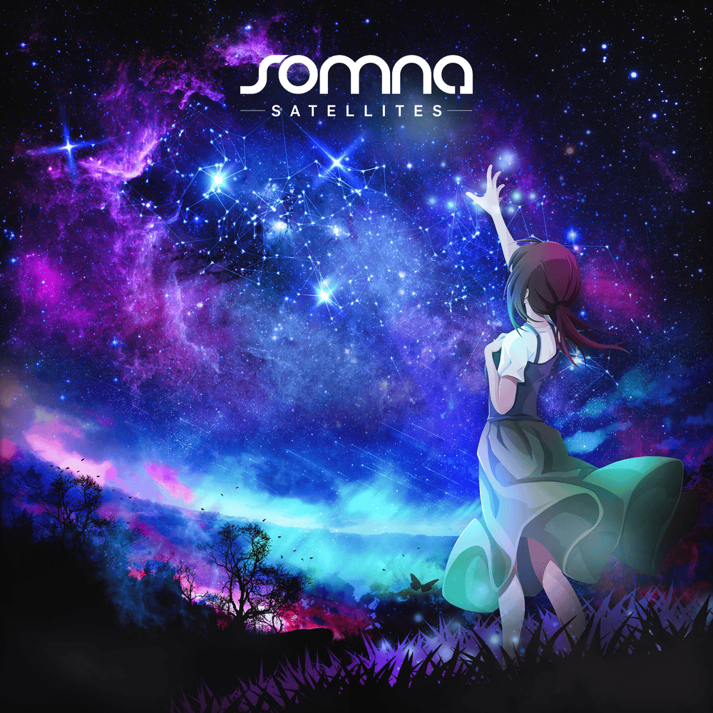 Cover image for Satellites