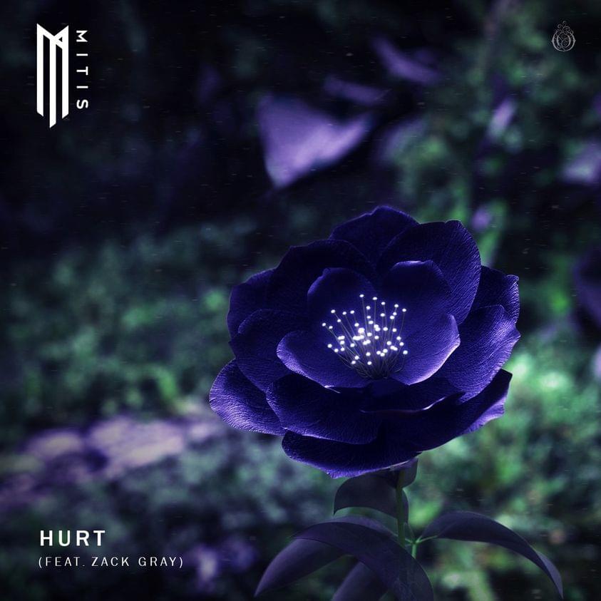 Album cover art for "Hurt" by MitiS & Zack Gray