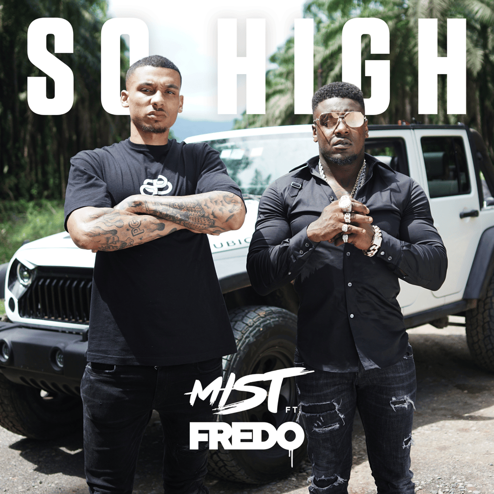 Album cover art for "So High" by NOW That’s What I Call Music! & Fredo
