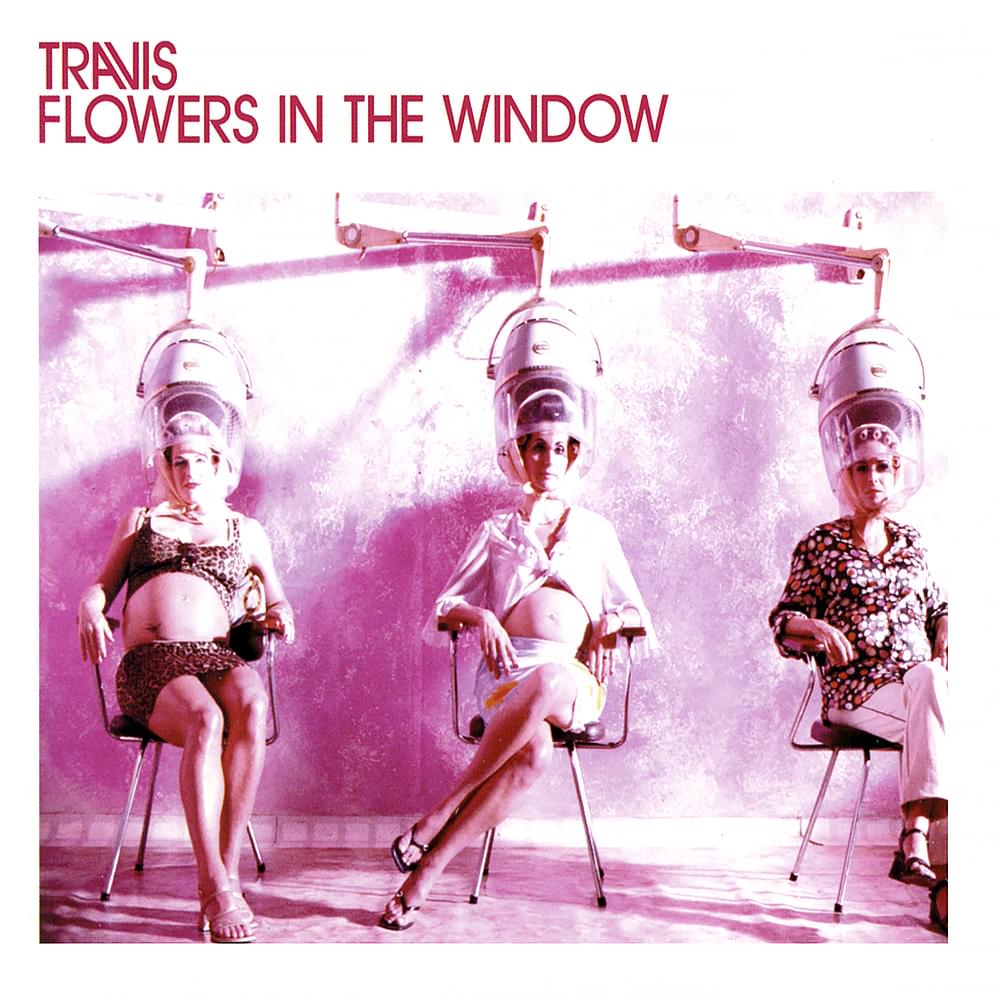 Flowers in the Window by Travis