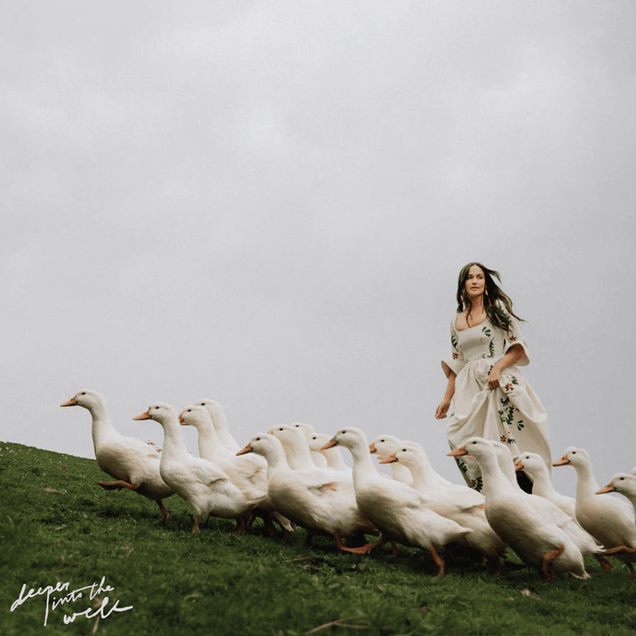 Cover image for Deeper into the Well (Bad World Vinyl Edition)