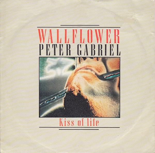 Album cover art for "Wallflower" by Peter Gabriel