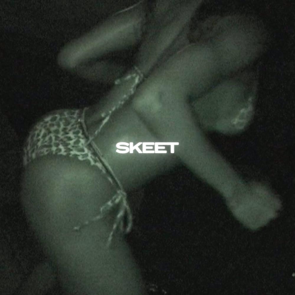 Album cover art for "Skeet" by AntsLive