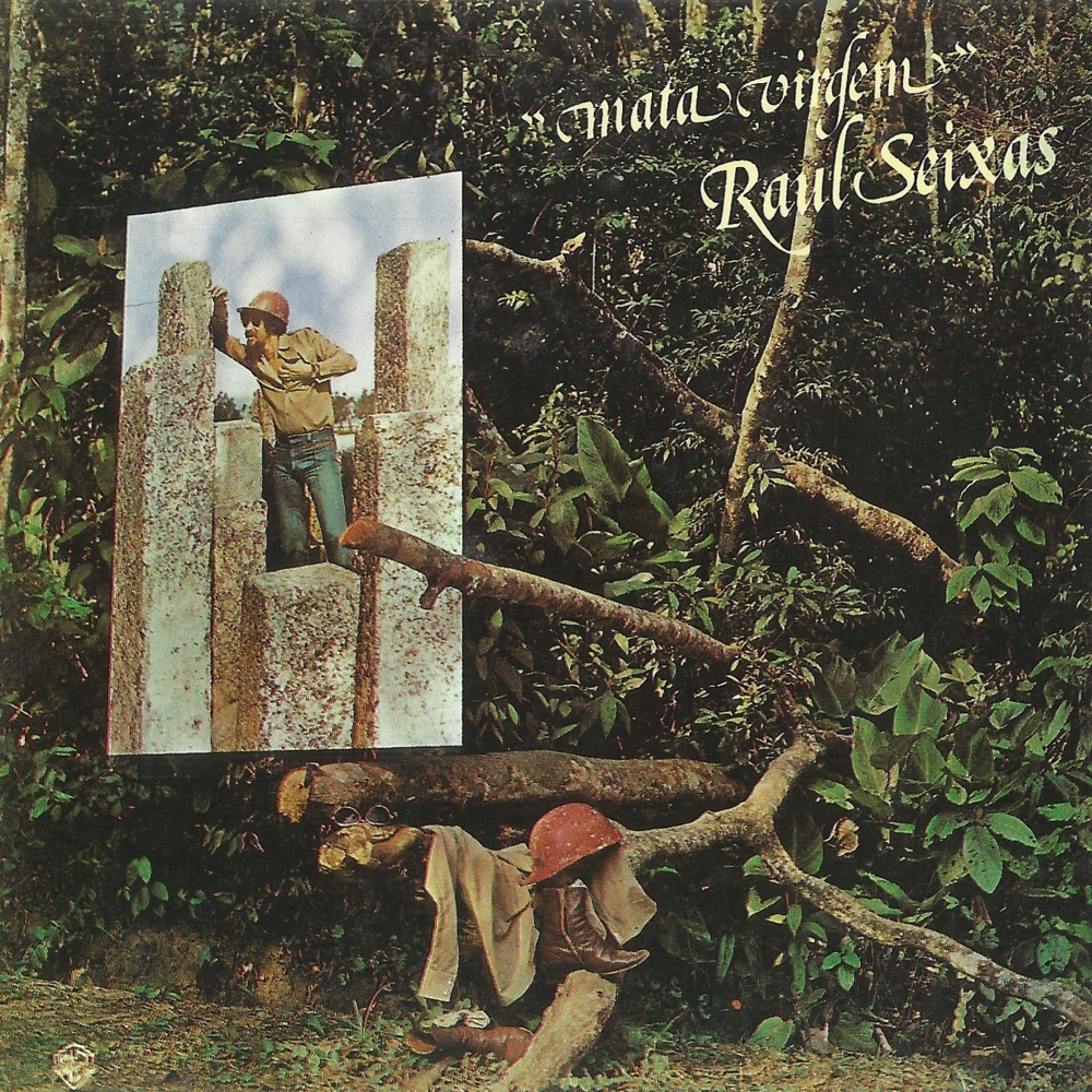 Cover image for Mata Virgem
