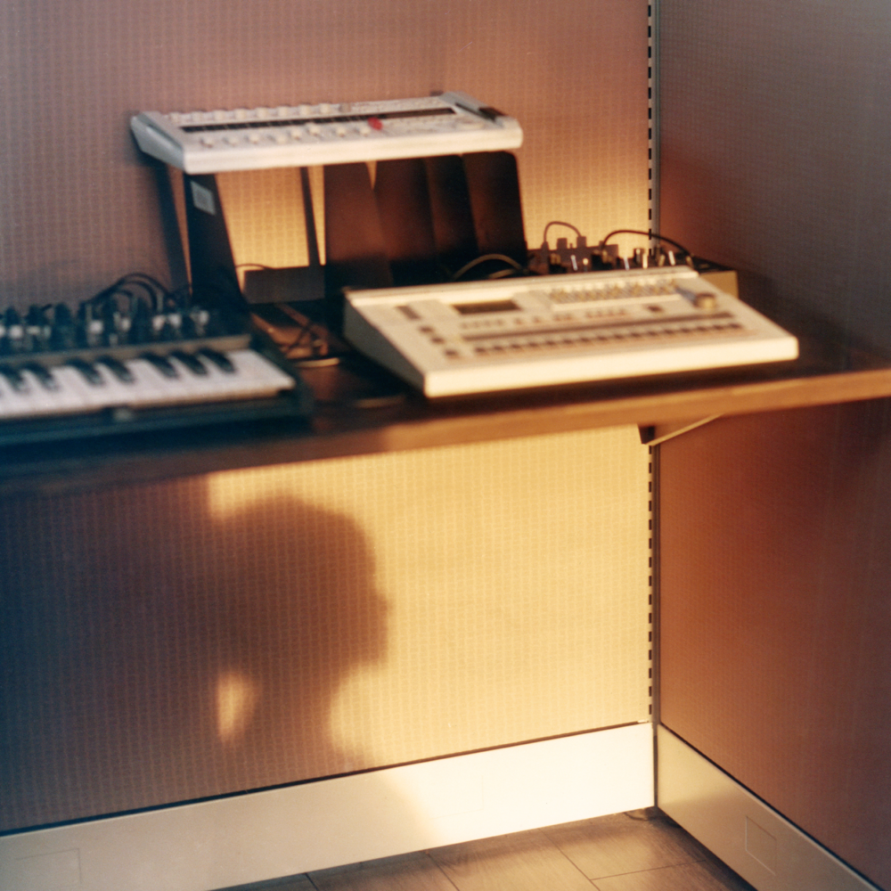 Album cover art for "Work It (Soulwax Remix)" by Marie Davidson