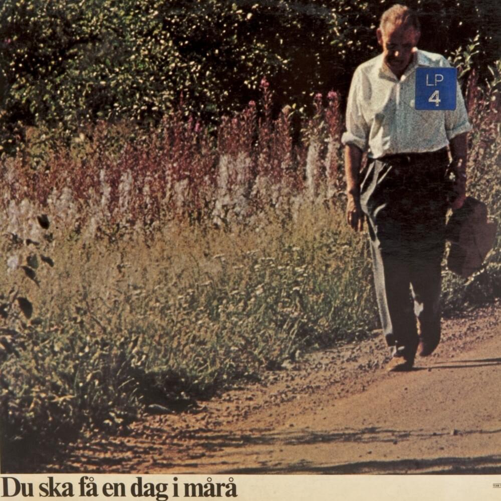 Cover image for Du ska få en dag i måra
