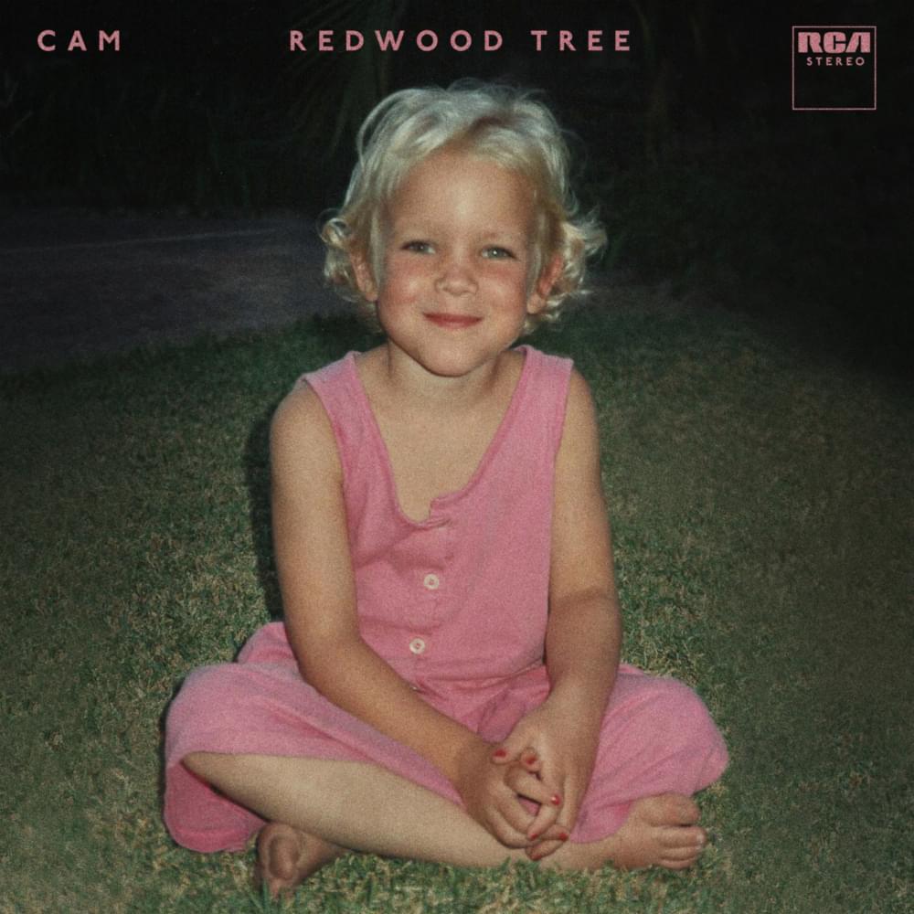 Album cover art for "Redwood Tree" by Cam