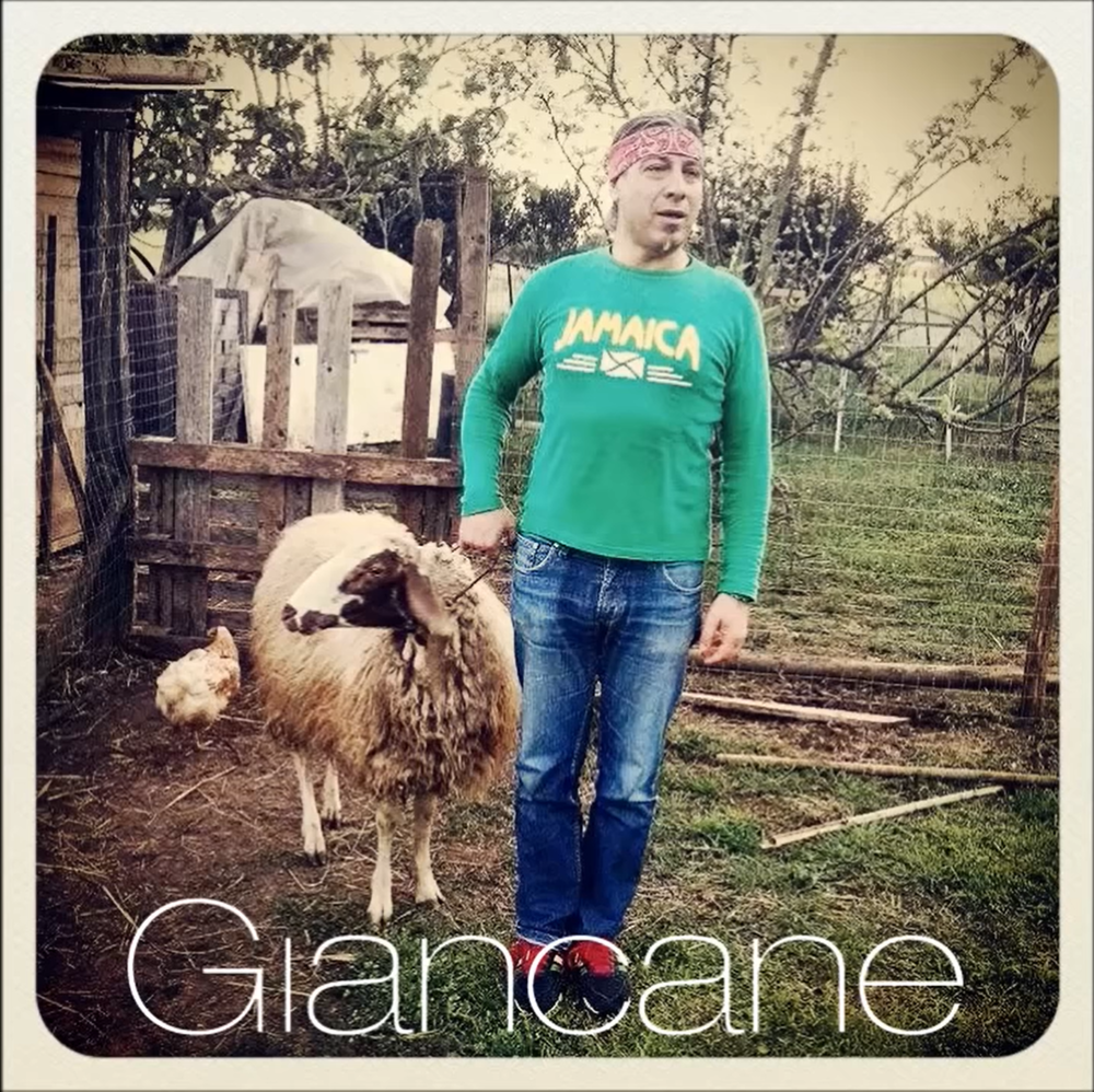 Album cover art for "Pecora" by Giancane