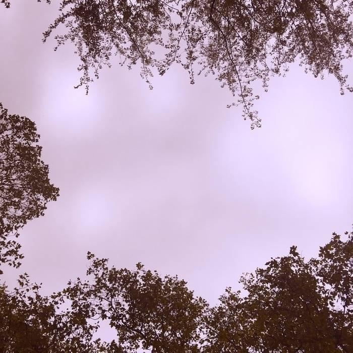 Cover image for Bloom 2 - Single