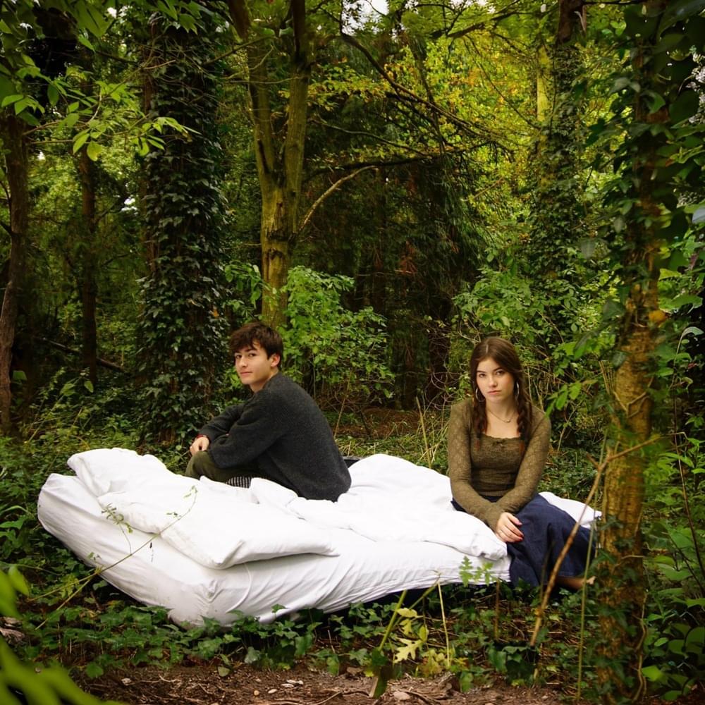 Cover image for Where the Pear Trees Grow