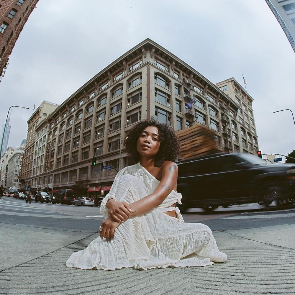 Cover image for Forest in the City