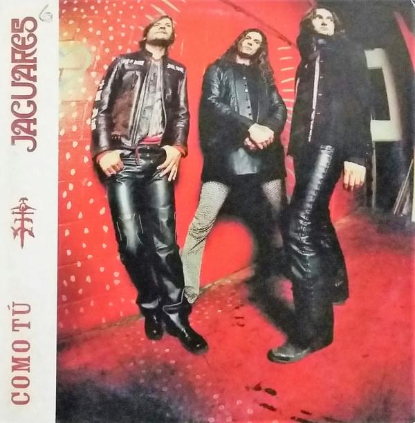 Album cover art for "Como tú" by Jaguares