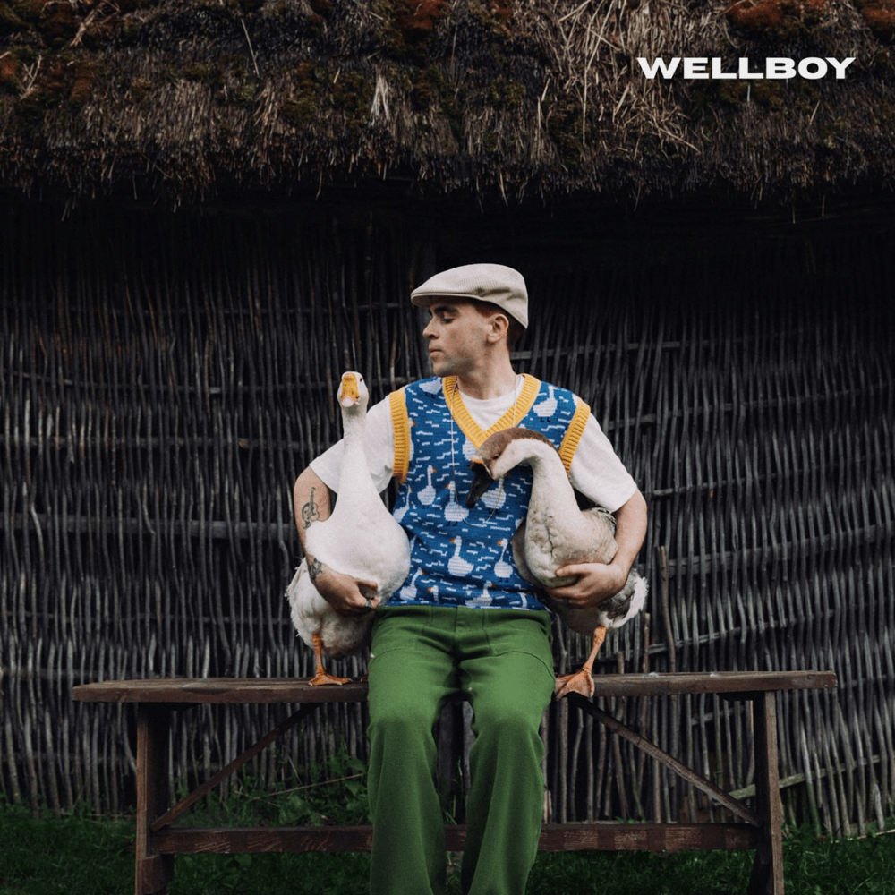 Гуси (Geese) by Wellboy
