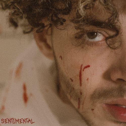 Album cover art for "Affamé #12 - Sentimental" by Zamdane