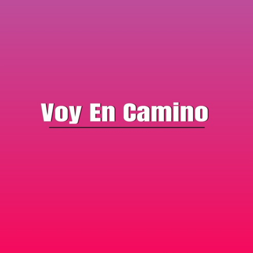 Voy En Camino by Ivonne Galaz