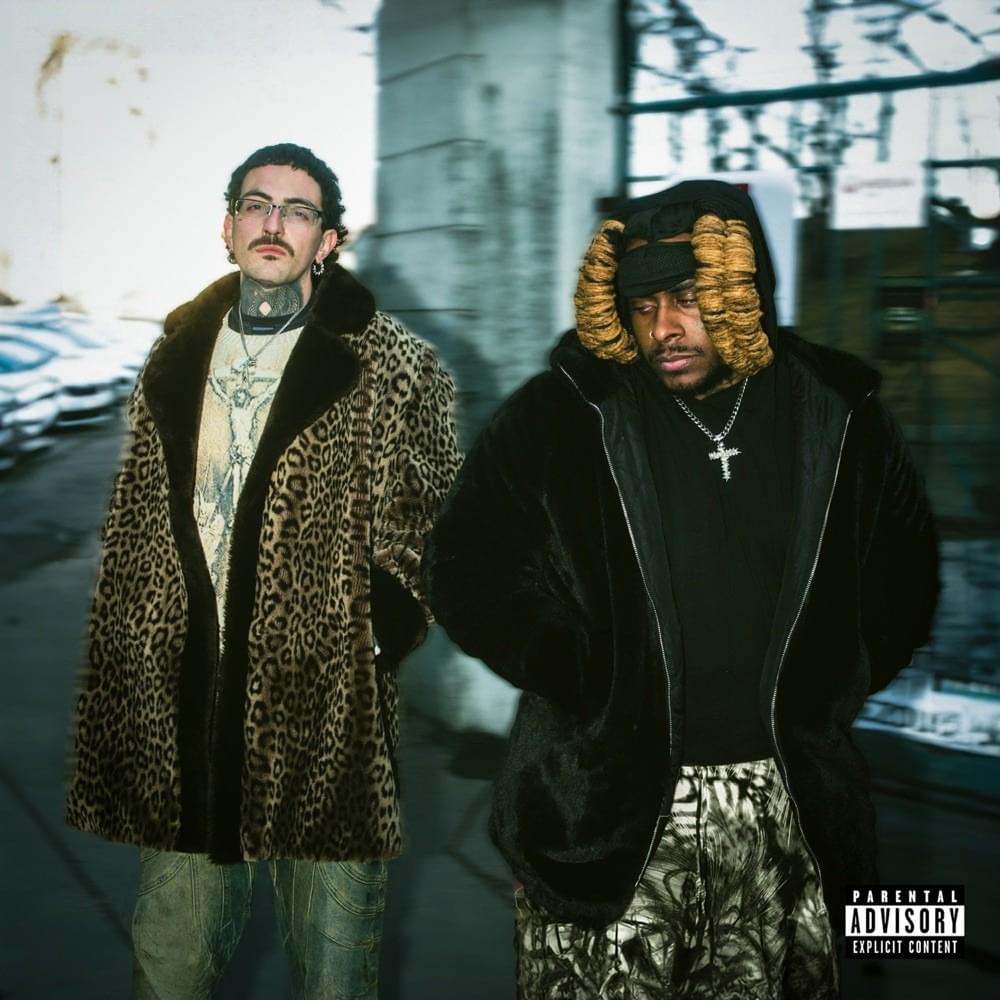 Cover image for FURCOATLUCY