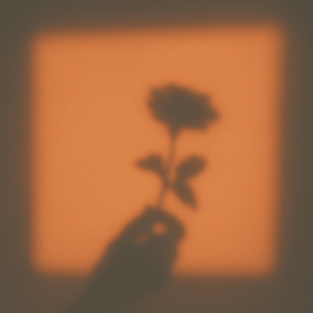 Album cover art for "DEFENSELESS" by JVKE