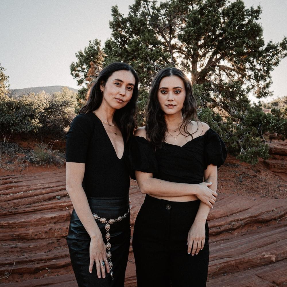 Lungs by Meg & Dia