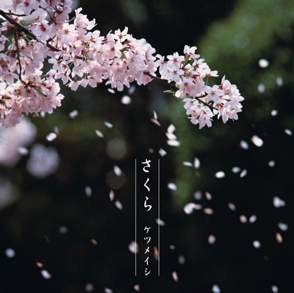 さくら (Sakura) by ケツメイシ (Ketsumeishi)