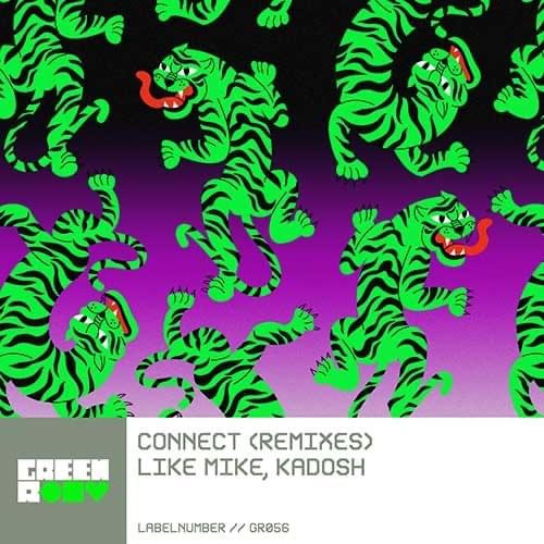 Cover image for Connect (Remixes)