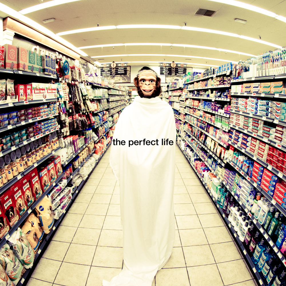 Album cover art for "The Perfect Life" by Moby & Wayne Coyne