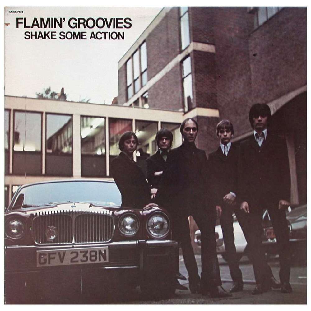 Shake Some Action by The Flamin’ Groovies