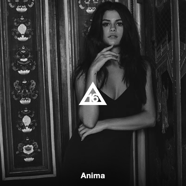 Cover image for Three 16s • Anima