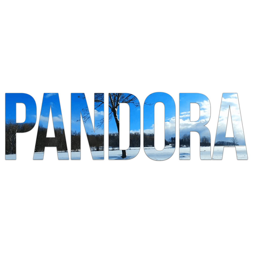 Album cover art for "Pandora" by donGURALesko