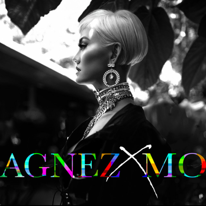 Damn I Love You by AGNEZ MO