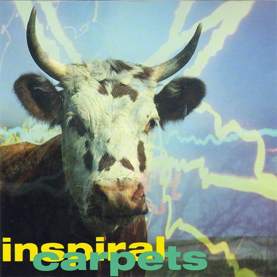 Album cover art for "Commercial Rain" by Inspiral Carpets