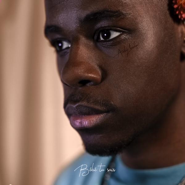 Album cover art for "BB tu sais" by Andy Luidje