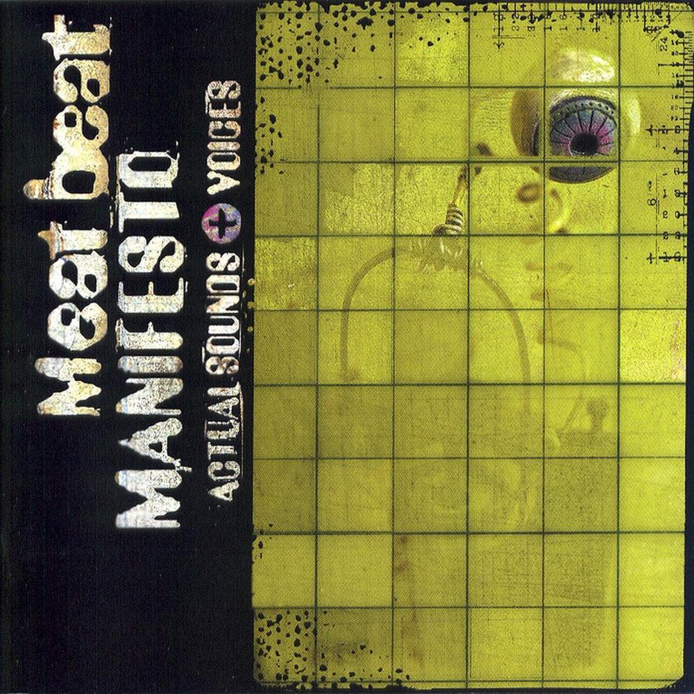 Funny Feeling by Meat Beat Manifesto