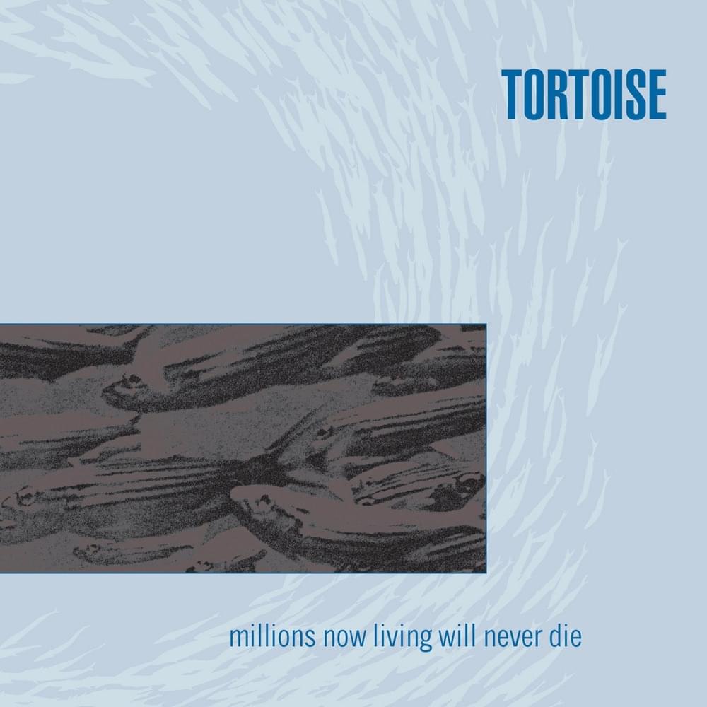 Djed by Tortoise